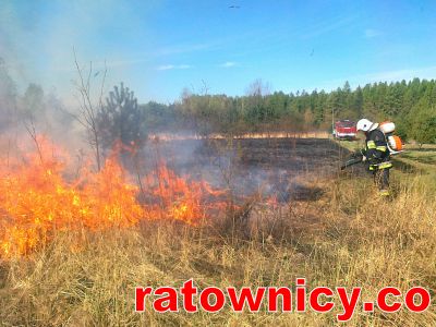 Kliknij aby zobaczyć pełny rozmiar