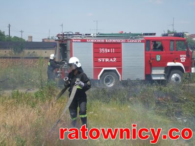 Kliknij aby zobaczyć pełny rozmiar