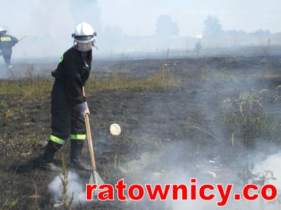 Kliknij aby zobaczyć pełny rozmiar