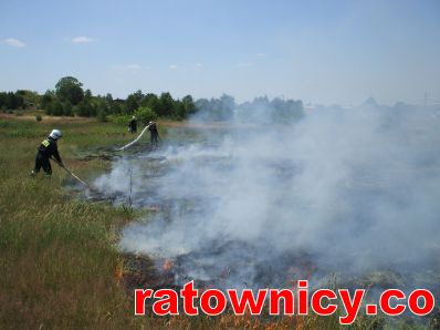 Kliknij aby zobaczyć pełny rozmiar