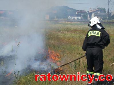 Kliknij aby zobaczyć pełny rozmiar