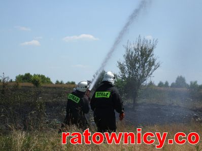 Kliknij aby zobaczyć pełny rozmiar